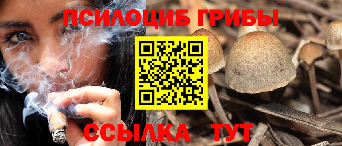Псилоцибиновые грибы GOLDEN TEACHER Черногорск